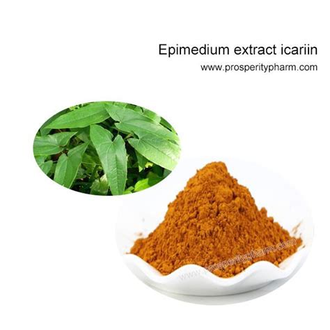 Epimedium Horny Goat Weed Extract Powder Manufacturers Suppliers