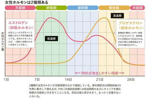 守り神・エストロゲン 高橋医院