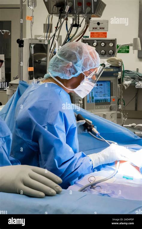 Appendix Removal Surgery Surgeon Using A Laparoscope To Assess A