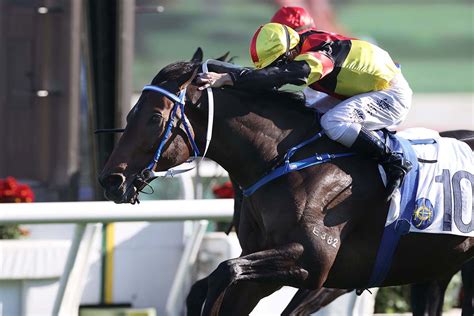 「超級軍團」勇奪百週年紀念銀瓶 賽馬新聞 香港賽馬會