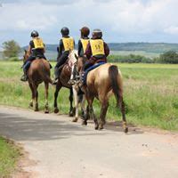 Les Cavaliers De La Grosne Ranch Exotique