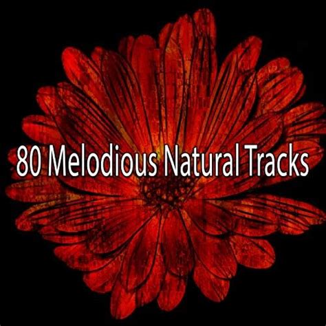 80 Melodious Natural Tracks Von Zen Meditate Bei Amazon Music Amazon De