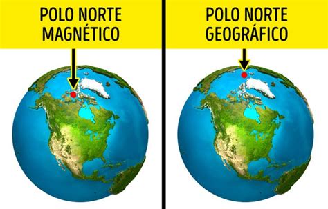 Fatos Falsos Em Que Acreditamos Porque Foi O Que Aprendemos Na