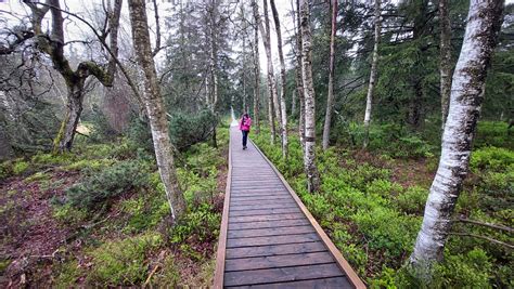 A Walk In The Woods By Ralf Thomas 500px