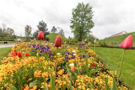 Erste Fotos Landesgartenschau 2024 In Wangen Aktuelle Bilder Und