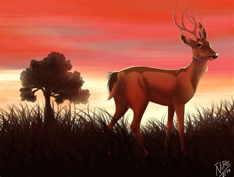 Pampas Deer by Nothofagus-obliqua on DeviantArt