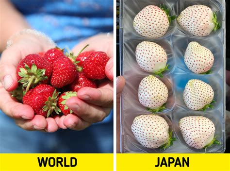 16 Awesome and Weird Things You’ll Find Only in Japan / Bright Side