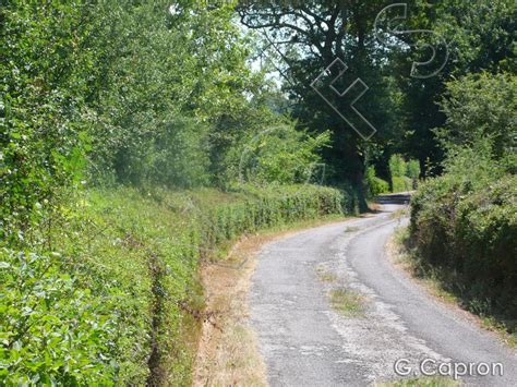 Des Am Nagements Pratiques Qui Fa Onnent Les Bocages P Le Bocage Et