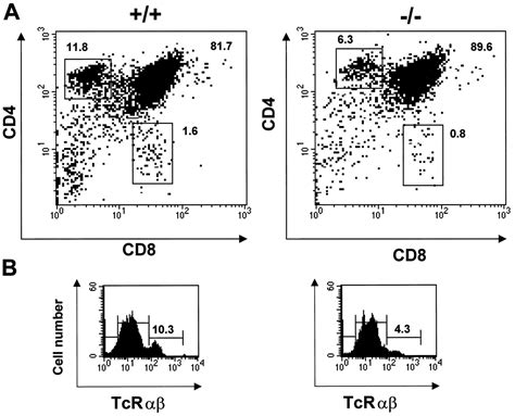 Defective Thymocyte Maturation In P Map Kinase Erk Knockout Mice