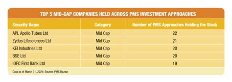 A 5 Year PMS Performance Story Large Cap Vs Small Cap Vs Mid Cap