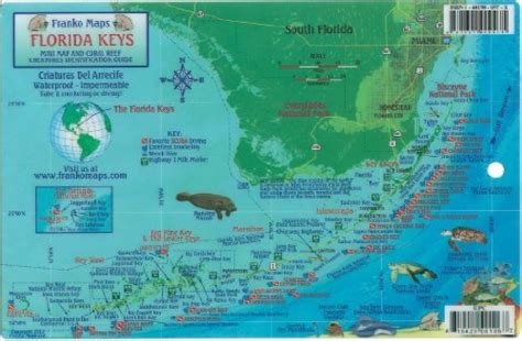 Florida Keys Dive Map Reef Creatures Guide Franko Maps Laminated Fish