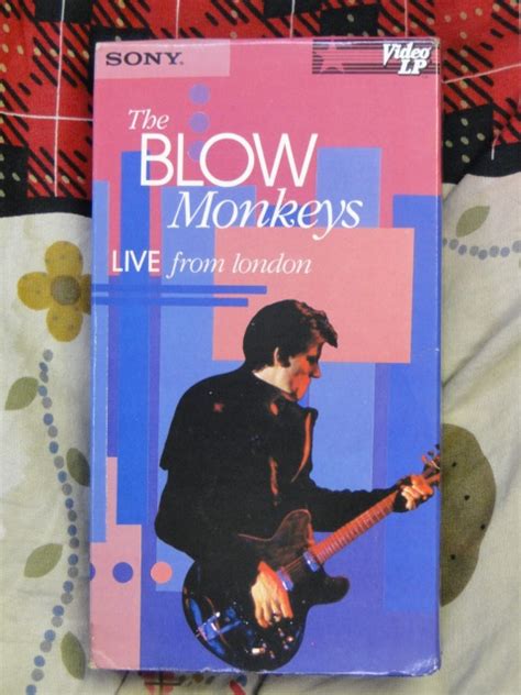 Yahoo オークション ブロウモンキーズ THE BLOW MONKEYS Live from