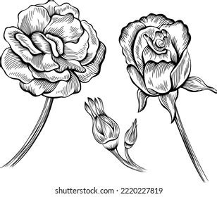 Rose Flower Outline Vector Hand Drawn Stock Vector (Royalty Free) 2220227819 | Shutterstock