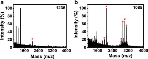 Maldi Tof Mass Spectra Of The Tryptic Digest Of β Casein Download