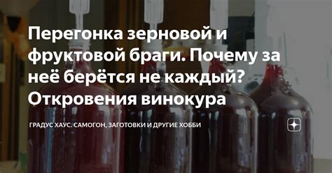 Перегонка зерновой и фруктовой браги. Почему за неё берётся не каждый ...