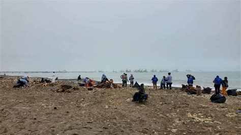 Recogimos varias toneladas de desperdicios de playa Márquez Noticias