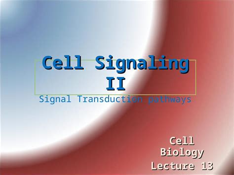 PPT Cell Signaling II Cell Signaling II Signal Transduction Pathways