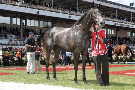 Who Won The 2007 Melbourne Cup?