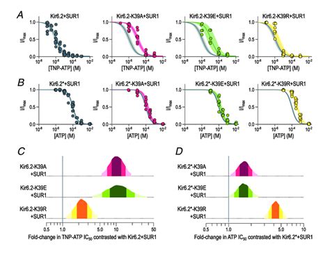 Substitutions At K39 Alter Inhibition Of K ATP Channels By