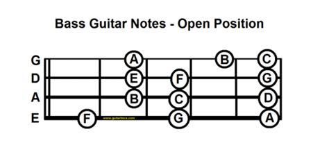 Bass Guitar 101 Hubpages