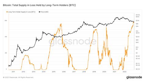 Investigación Los Tenedores A Largo Plazo De Bitcoin Siguen Siendo