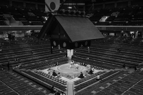 traditional sumo wrestling match  tokyo arena  stock photo
