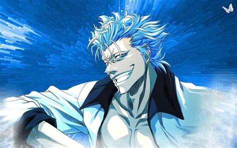 Grimmjow Jaegerjaquez Backgrounds 21907 Wallpaper HD Pxfuel