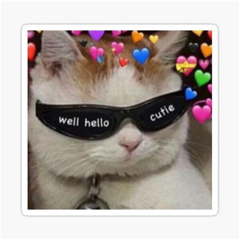 Hello Cutie Sticker By Topsstore Cute Cat Memes Cute Love Memes