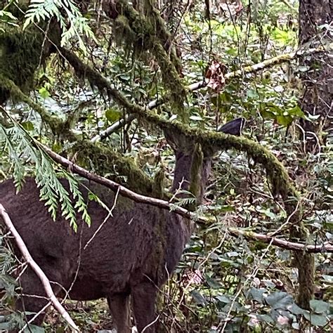 Oxbow Regional Park | The Dyrt