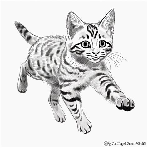 Coloring Bengal Cats Pages Cat Katzen Colouring Ausmalen Zum