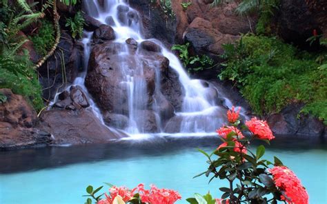 10 Best Waterfall And Flowers Wallpaper Full Hd 1080p For Pc Desktop 2024