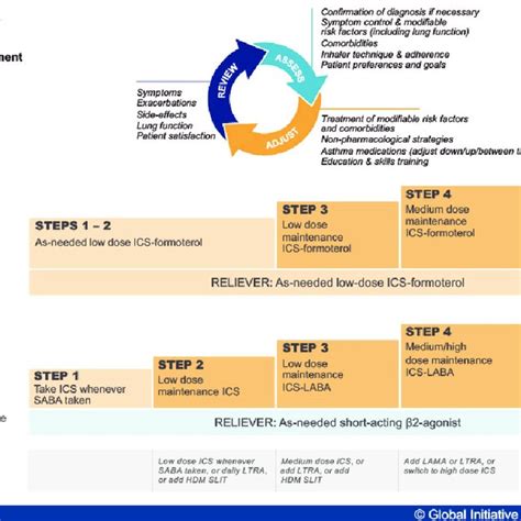 The Recently Updated Gina Personalized Stepwise Asthma Management In