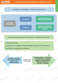 Tle gé La conservation des génomes stabilité génétique et évolution