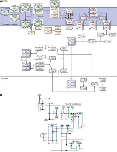 6 Diagrammes De Kitano A Et De Kohn B Reproduit De Download Scientific Diagram