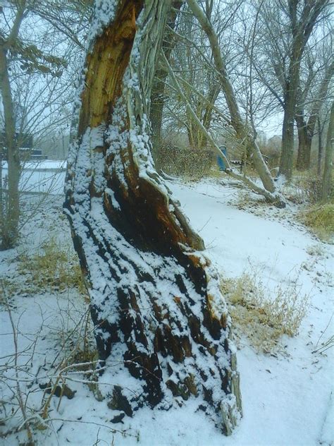 "Балхашская пятница" Выпуск 25