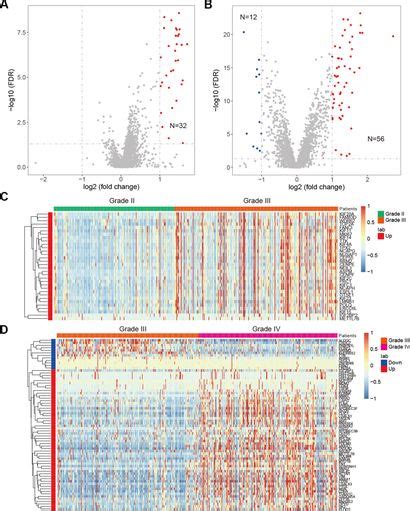 Frontiers Systematically Dissecting The Function Of RNA Binding