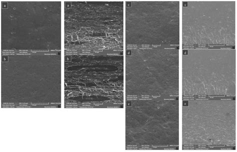 Sem Images Of The Surface Left And Cross Section Right Of Spi Ahsg