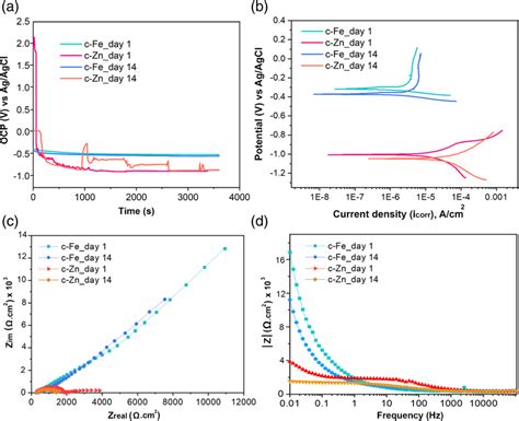 A Open Circuit Potential Ocp B Potentiodynamic Polarization