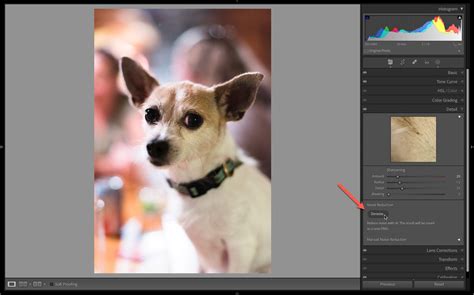 April Updates For Lightroom Classic Lightroom And Camera Raw