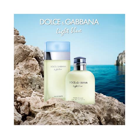Dolce & Gabbana Light Blue für Damen 100 ml | notino.at