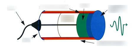 Seven components of a basic ultrasound transducer Diagram | Quizlet