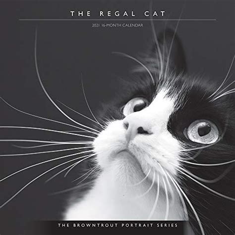 The Browntrout Portrait Series The Regal Cat 2021 12 X 12 Inch Monthly