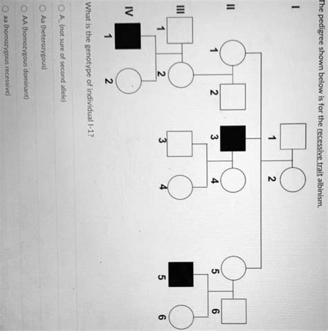 SOLVED The Pedigree Shown Below For The Ecessivetrait Albinism