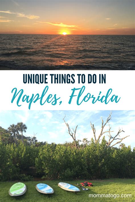 Unique Things To Do In Naples Florida Momma To Go Travel Florida