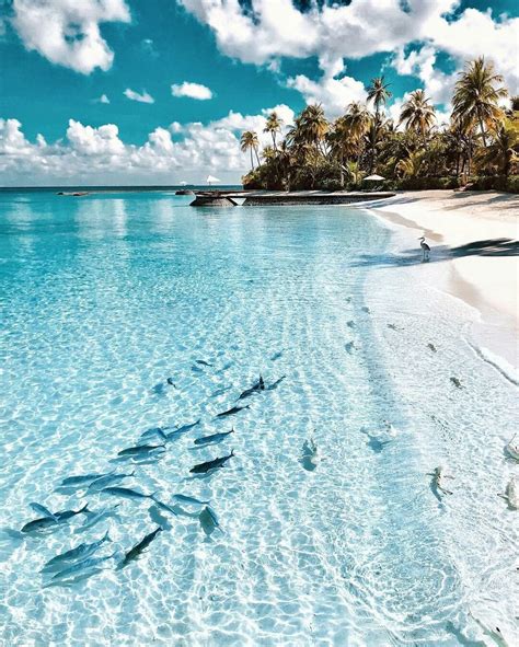 Красивые картинки пляжа - фото и картинки: 68 штук