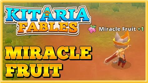 HOW TO GET MIRACLE FRUIT King Gooey Kitaria Fables YouTube