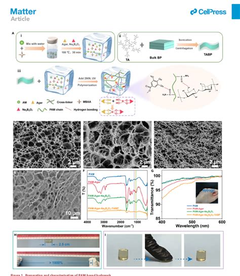 焦体峰教授课题组Matter A transparent flexible triboelectric nanogenerator for