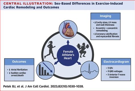 Impact Of Sex On Cardiovascular Adaptations To Exercise Jacc Review Topic Of The Week Journal