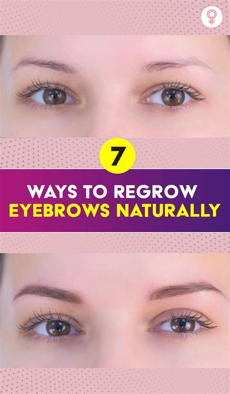 how long to regrow eyebrows