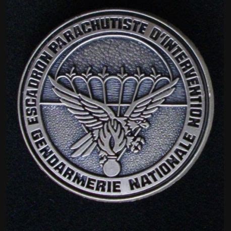 Escadron Parachutiste D Intervention De La Gendarmerie Nationale Epign